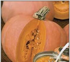 seminte dovleac Melonowa - de patiserie,  gigant 25KG