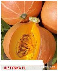 10seminte dovleac Justynka F1- continut bogat in caroten