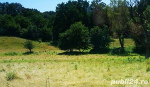 Închiriez sau schimb 12,5 Ha teren  agricol  la 40 km de Sibiu  - imagine 6