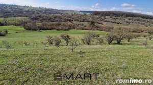 Teren extravilan 16420 mp | Sibiu - Daia  - imagine 6