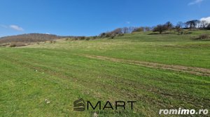 Teren extravilan 16420 mp | Sibiu - Daia  - imagine 2