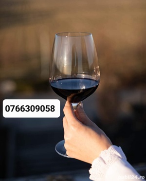 Vin de Dragasani - Cabernet Sauvignon