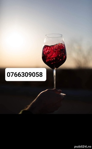 Vin de Dragasani - Merlot