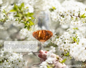 Vin de Vita Nobila de Inalta Calitate