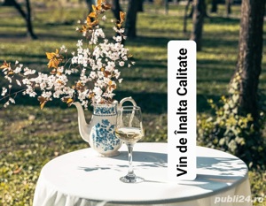 Vin de Dragasani - Sauvignon Blanc