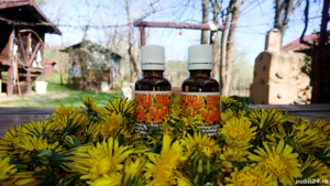 Tinctura de papadie - 100% naturala - imagine 2