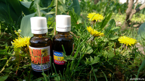 Tinctura de papadie - 100% naturala - imagine 3