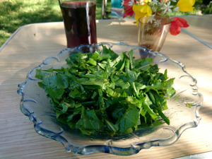 Tinctura de papadie - 100% naturala - imagine 10