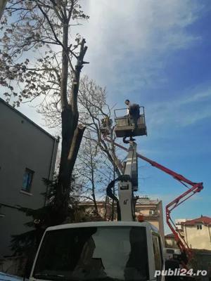 Taiere toaletare copac,defrisare teren,sapam maruntim si nivelam pamint gradini,Cosire vegetatie - imagine 6