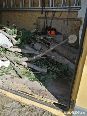 Taiere toaletare copac,defrisare teren,sapam maruntim si nivelam pamint gradini,Cosire vegetatie - imagine 10