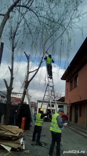 Taiere toaletare copac,defrisare teren,sapam maruntim si nivelam pamint gradini,Cosire vegetatie - imagine 8