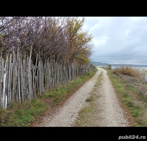 teren intravilan Crivina jud Mehedinti - imagine 2