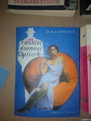 Cărți, beletristică, tehnice, dicționare, diverse - imagine 7