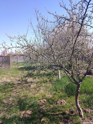 Vând casă la 13 km de SM  - imagine 10