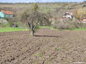 Teren intravilan pentru vânzare, in comuna Savadisla,sat Vlaha,jud.Cluj 66 000 euro - imagine 4