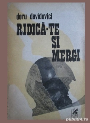 Lot 6 volume Doru Davidovici - imagine 5