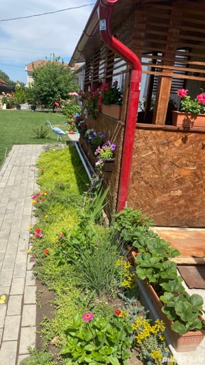 Centru ingrijire seniori in Ortisoara - imagine 8