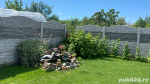 Centru ingrijire seniori in Ortisoara - imagine 4