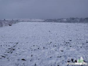 Teren intravilan de vanzare 28.200 mp Bucuresti Sector 6 - imagine 8