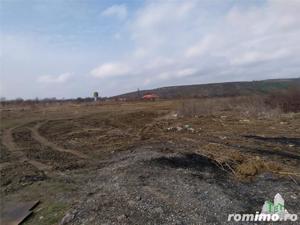 Teren intravilan de vanzare 28.200 mp Bucuresti Sector 6 - imagine 11