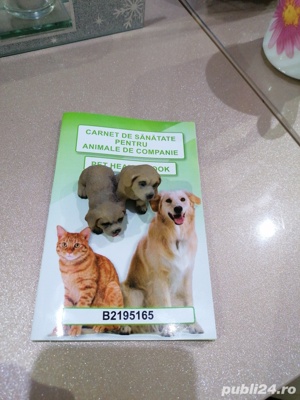 Bichon maltez mini toy  - imagine 3