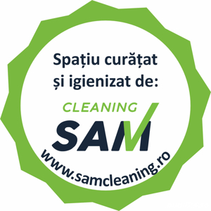 Echipa mobila curatenie Cluj - imagine 3