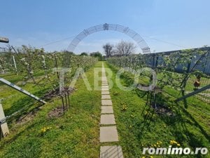 Vila cu piscina de vanzare in Sebes zona centrala - imagine 9