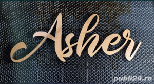 Fac Scrisuri, Ornamente si Blank-uri din Lemn - debitate laser