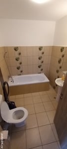 Apartament Marian (Regim hotelier) - imagine 5