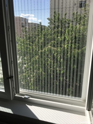 Termopane si. Plase de insecte - imagine 6