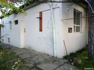 Se vinde urgent casa în zona lipovei Timișoara  - imagine 4