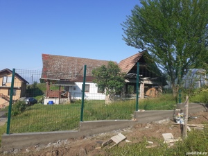 imprejmuiri - imagine 7