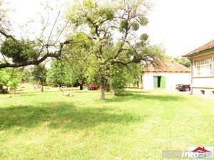 Casa cu teren 4,3 hectare in Livada ( ID 22148) - imagine 4