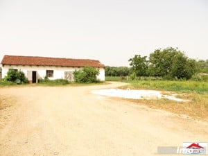 Casa cu teren 4,3 hectare in Livada ( ID 22148) - imagine 16