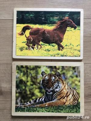 Lot Puzzle din lemn