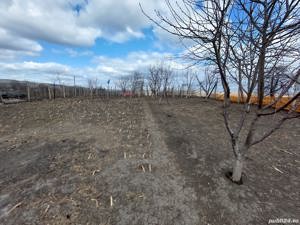 Imobiliare  - imagine 8