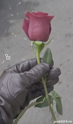 Companie doar pt femei, de curând mutat în oras