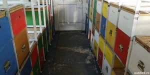 Vagon apicol inmatriculat