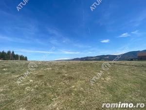 Teren intravilan 6000 mp cu utilitati in Paltinis judet Sibiu - imagine 9