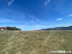 Teren intravilan 6000 mp cu utilitati in Paltinis judet Sibiu - imagine 7