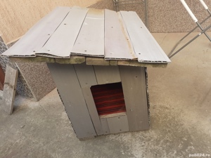 Vand cusca catel-220 lei - imagine 2