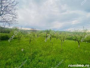 Casa individuala cu 2500 mp teren in Rusi langa Sibiu - imagine 3