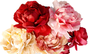 Flori cu aspect natural, lucrate din material japonez - imagine 5