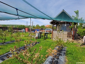 Teren extravilan  - imagine 5