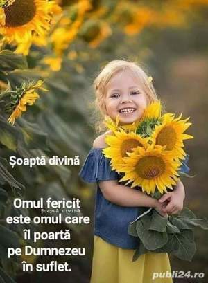 Parteneriat- Asociere -Agentie imobiliara  -Mamaia Nord 