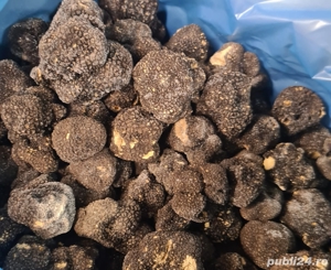 trufe negre congelate 