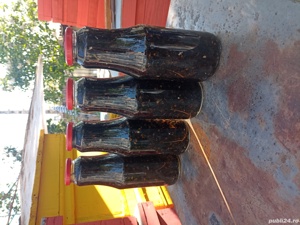 Podmore - tinctură de albine moarte , transport gratuit  - imagine 4