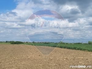 Teren agricol 7200 mp Arad Zona Micalaca spre Mures - imagine 5