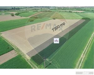 Teren agricol 7200 mp Arad Zona Micalaca spre Mures - imagine 2