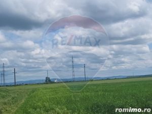 Teren agricol 7200 mp Arad Zona Micalaca spre Mures - imagine 7